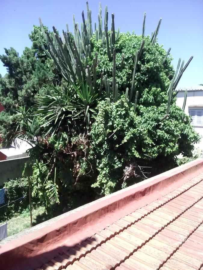 Hosteria Almirante Brown Мар-дель-Плата Экстерьер фото